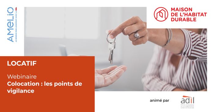 Colocation : les points de vigilance