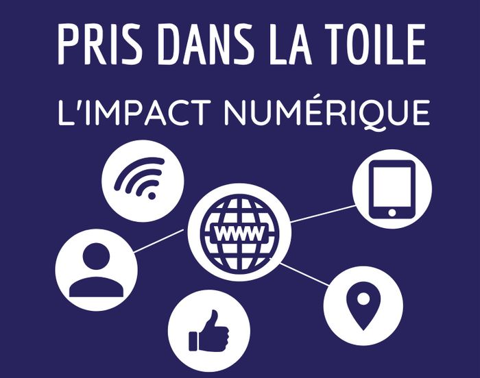 Pris dans la toile