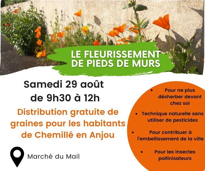 Distribution de graines de fleurs
