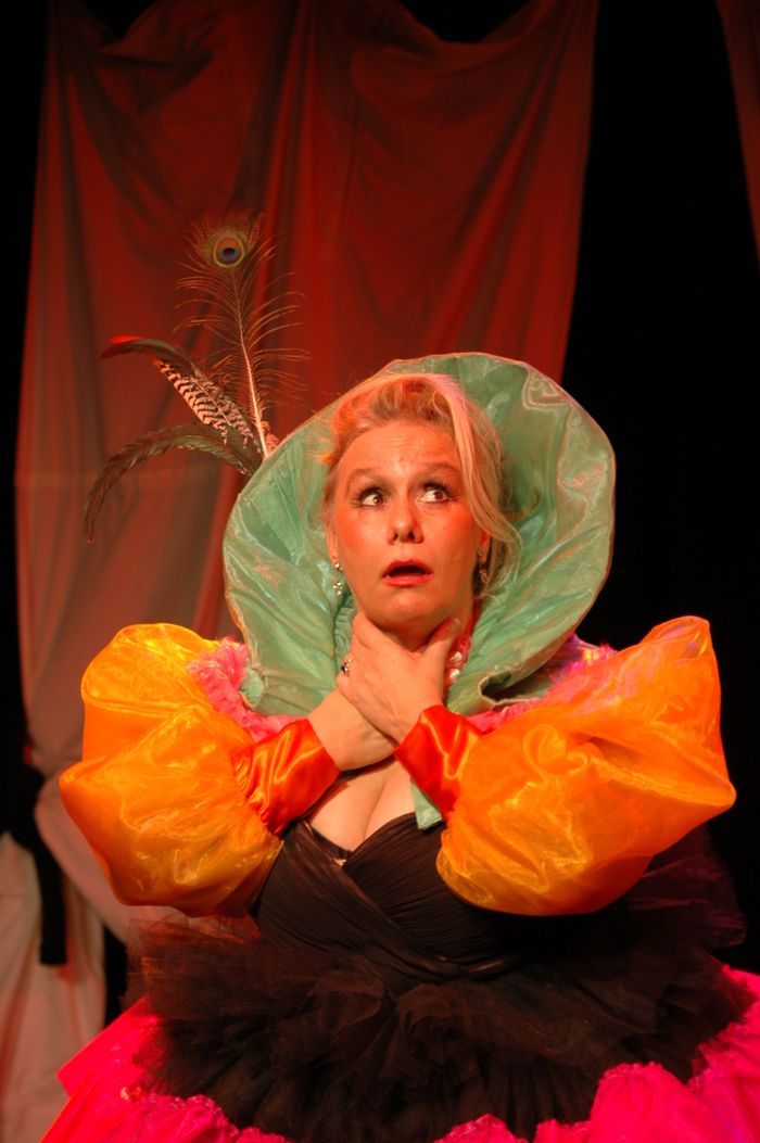 Proposition de spectacle pour le catalogue culturel du Loiret