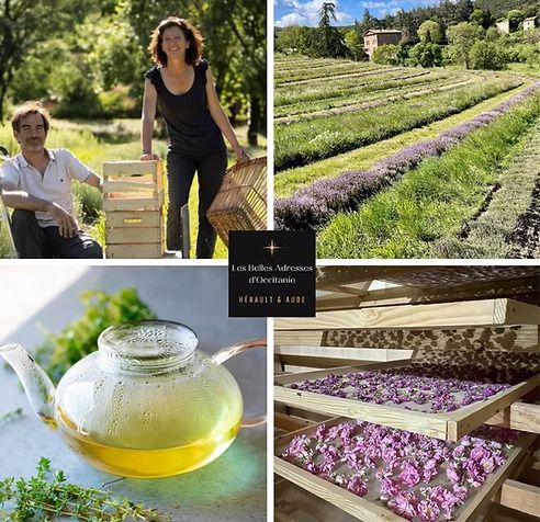 Rdv Gourmand au Domaine de Pouzes