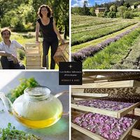 Rdv Gourmand au Domaine de Pouzes