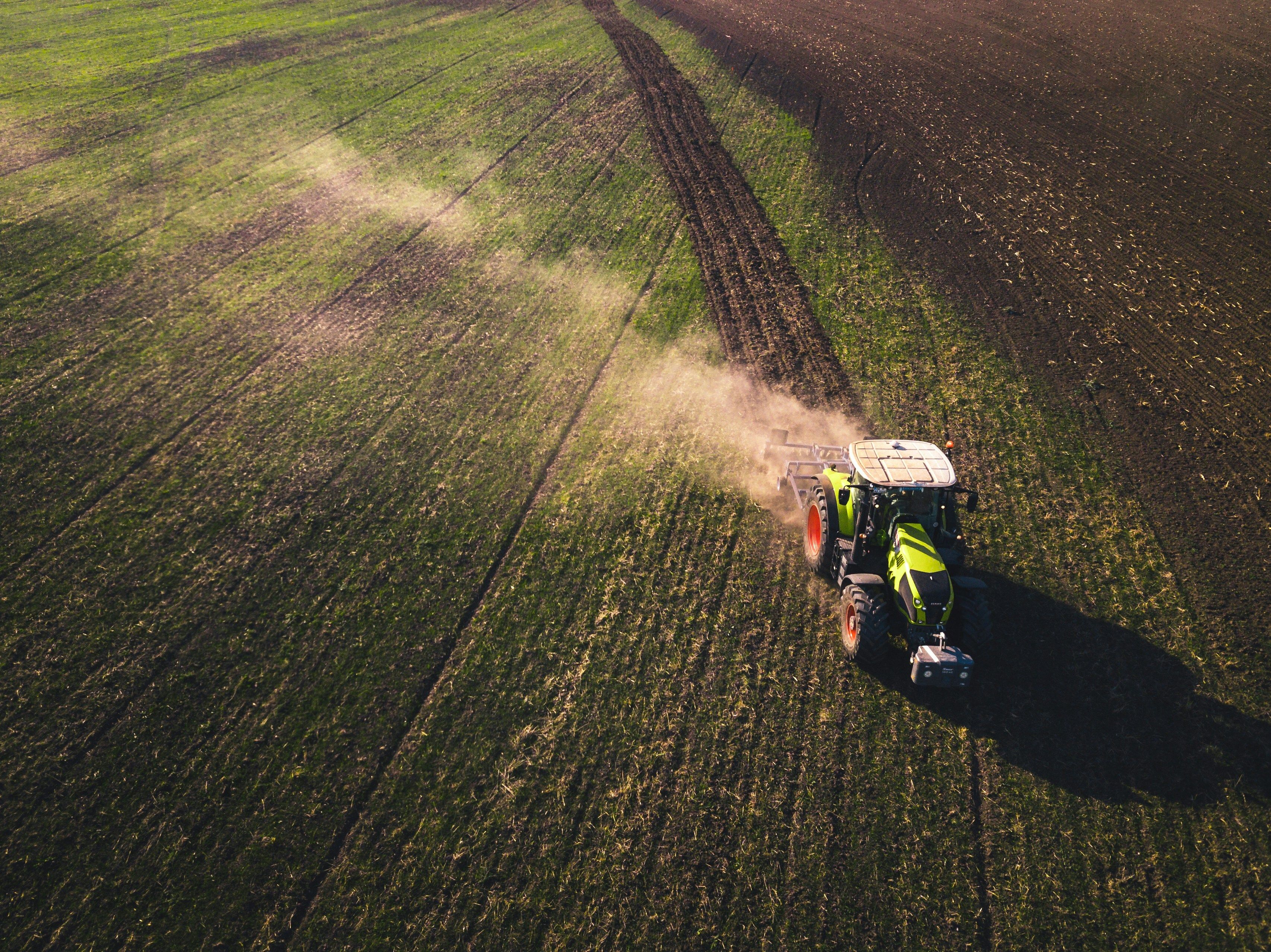 Ciné-débat : comment l'agrochimie a tué les insectes