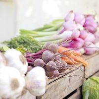 Marché d'été à la plage