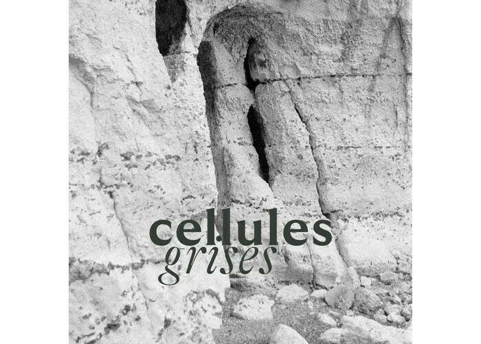cellules grises - Exposition collective