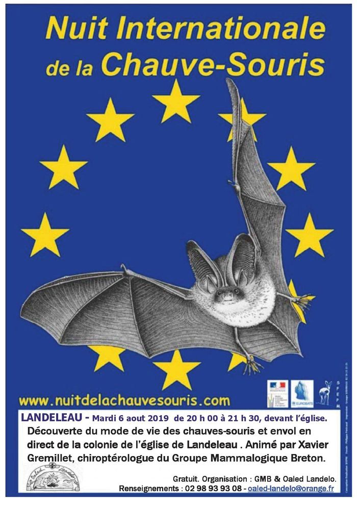 Nuit internationale de la chauve-souris