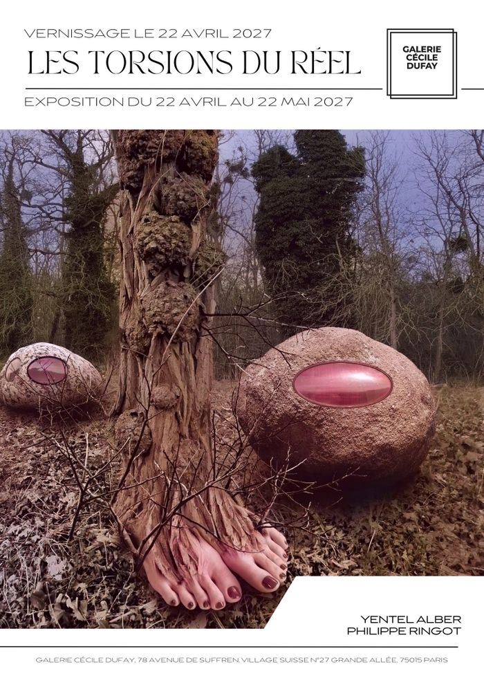 Exposition de Yentel Alber, Les torsions du réel - Galerie Cécile Dufay