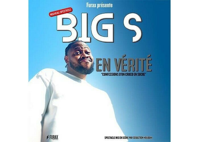 Big S : En vérité - Confessions d’un croco en sucre