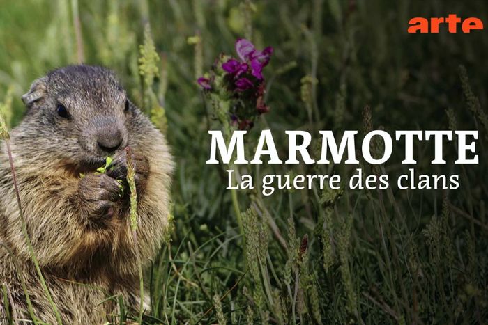 Projection gratuite du documentaire suivie d’une rencontre avec un membre de l’équipe du film ou un chercheur.