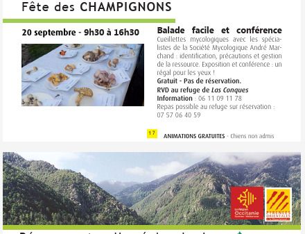 Fête des champignons - Balade et conférence