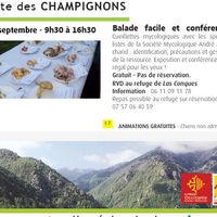 Fête des champignons - Balade et conférence