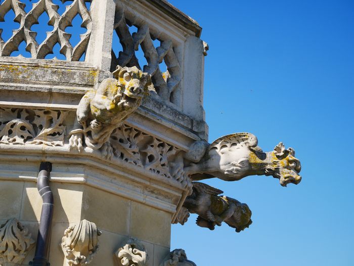 Visite guidée : Tour de la Cathédrale