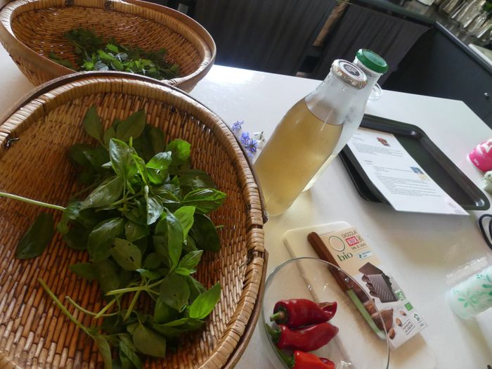 Atelier cuisine aux plantes