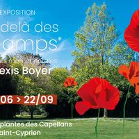 Alexis Boyer - Les Coquelicots Géants
