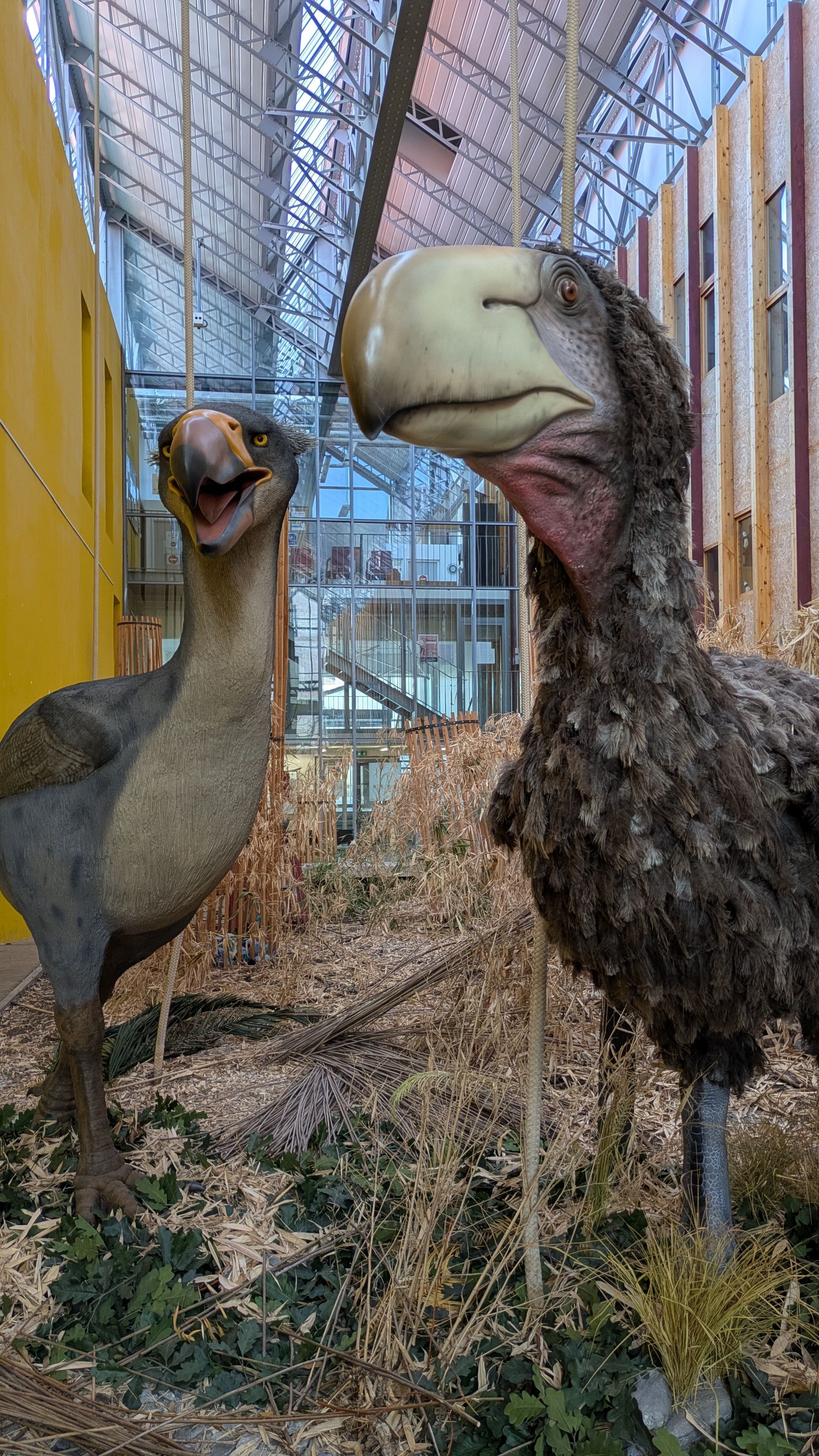 Petite fabrique (8-12 ans) : Oiseaux de terreur !