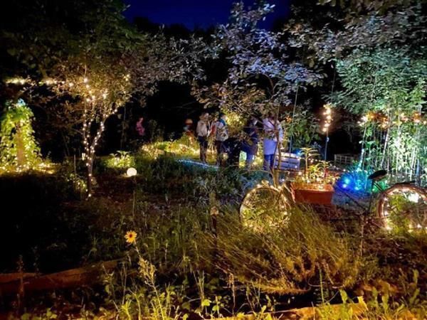 Lumina botanica