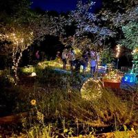 Lumina botanica