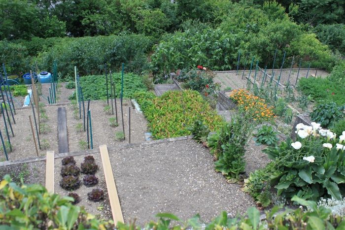 Visites guidées des jardins ouvriers des Eglantiers