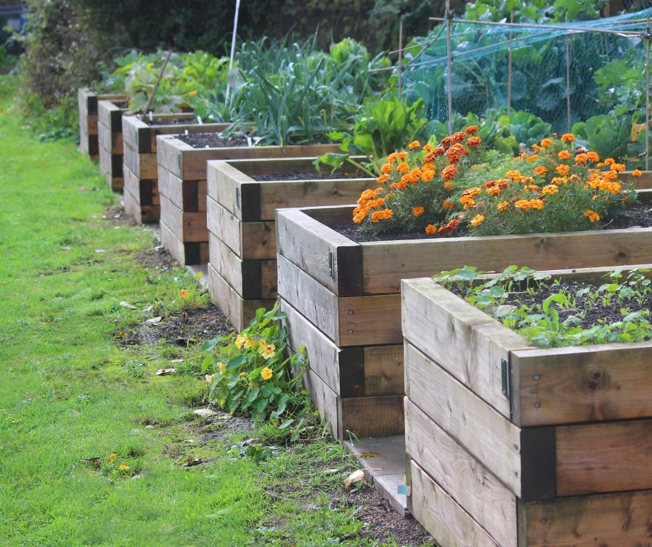Visite d'un jardin potager