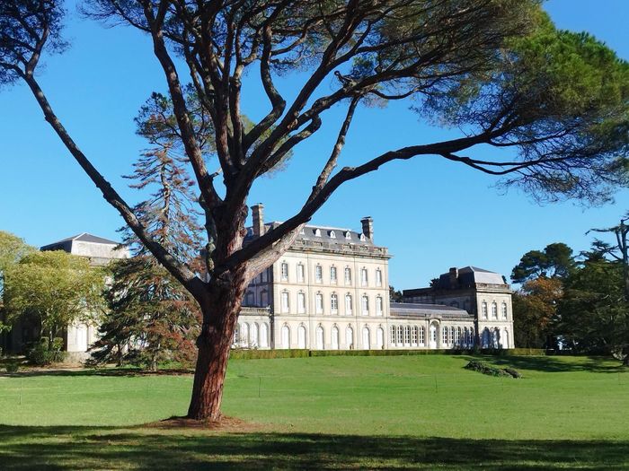 Chasse au Trésor au château de Pech Redon