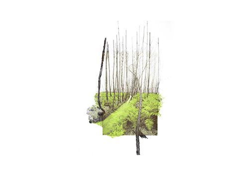 « Les abords » Exposition de Dana Cojbuc à Montauban