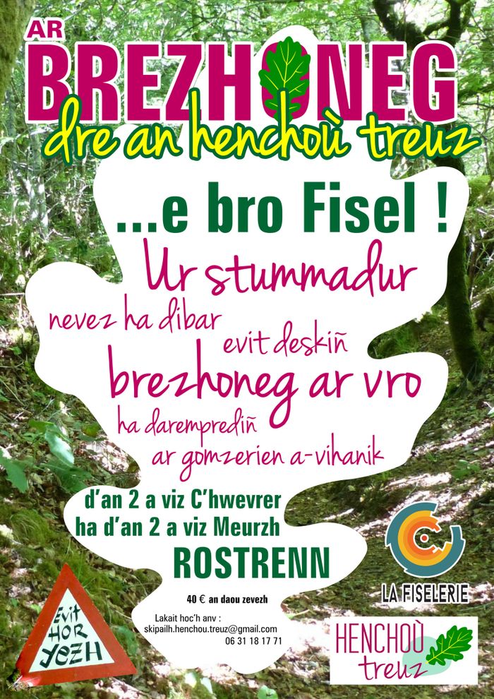 Stage Henchoù Treuz sur le breton du Pays Fisel