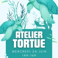 Atelier Tortue – Servian