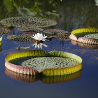 Bien-être au cœur de la nature