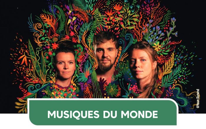 Musiques du Monde - Brazakuja