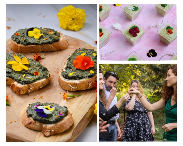 Balade & cuisine sauvage (Monde de Sens)
