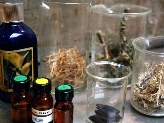 Les matières premières en parfumerie