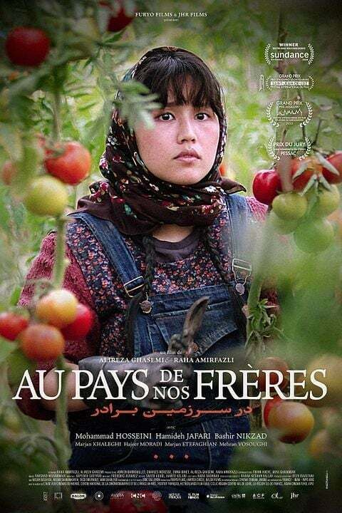ACNE : « AU PAYS DE NOS FRÈRES » de Raha Amirfazli, Alireza Ghasemi