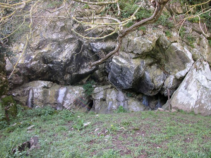 LA GROTTE DE LA ROCHE, UN PATRIMOINE PRÉHISTORIQUE A PRÉSERVER