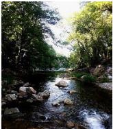 Randonnée de la Vallée Verte par Peu Alegre