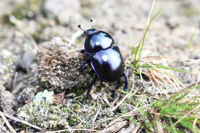 Sortie coorganisée par Île-de-France Nature