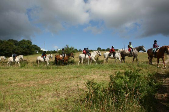 En pleine nature : cheval et aventure (Camp en breton, 7-13 ans)