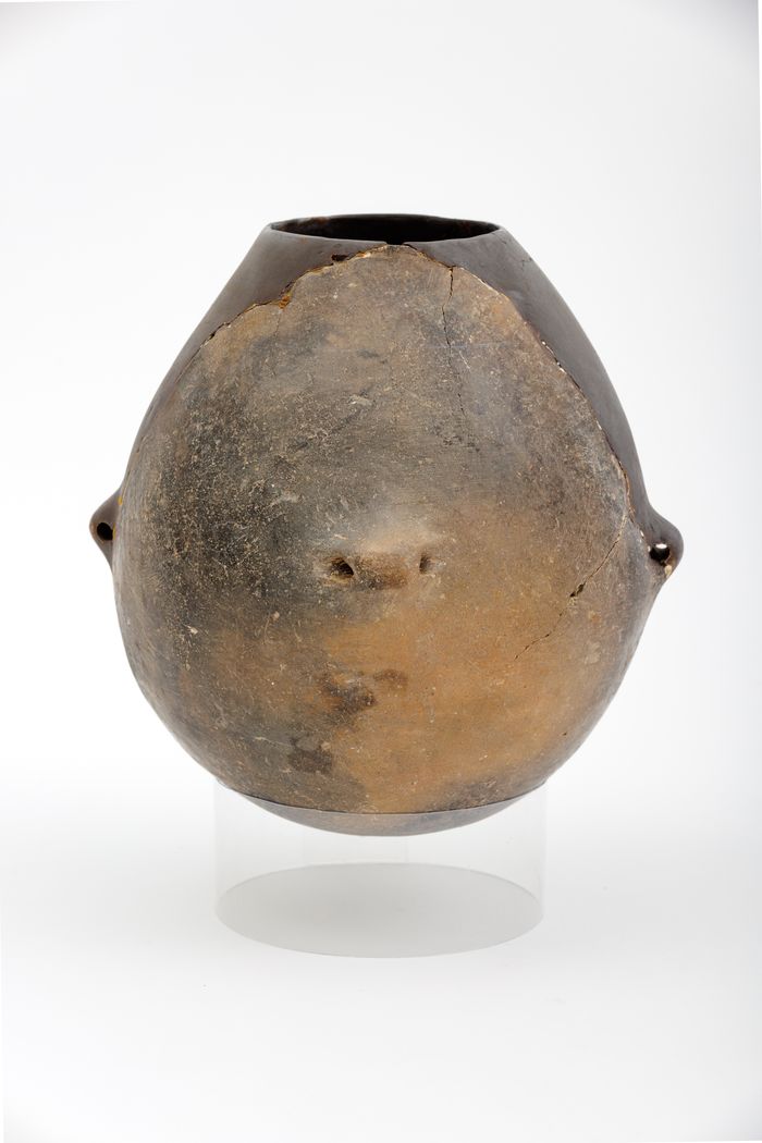 Visite guidée - Archéologie