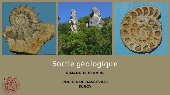 Sortie géologique - Roches de Basseville