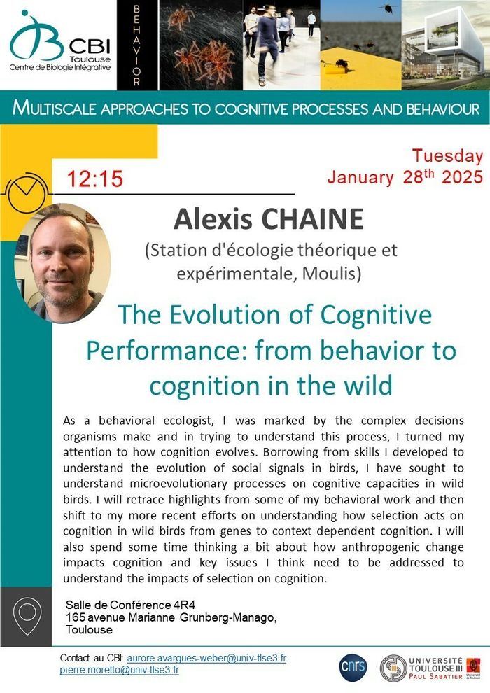 Alexis CHAINE " The Evolution of Cognitive Performance: from behavior to cognition in the wild"