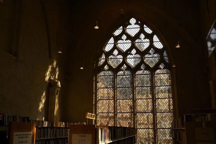 Visite libre ou commentée de l'église des Carmes et de la salle d'étude de la bibliothèque municipale.