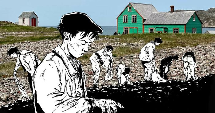 Les petits graviers de Saint Pierre