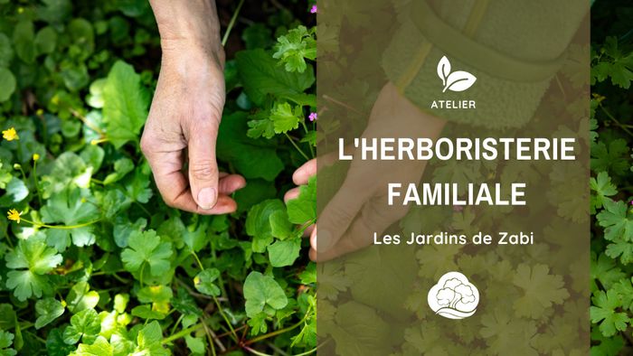 Herboristerie familiale