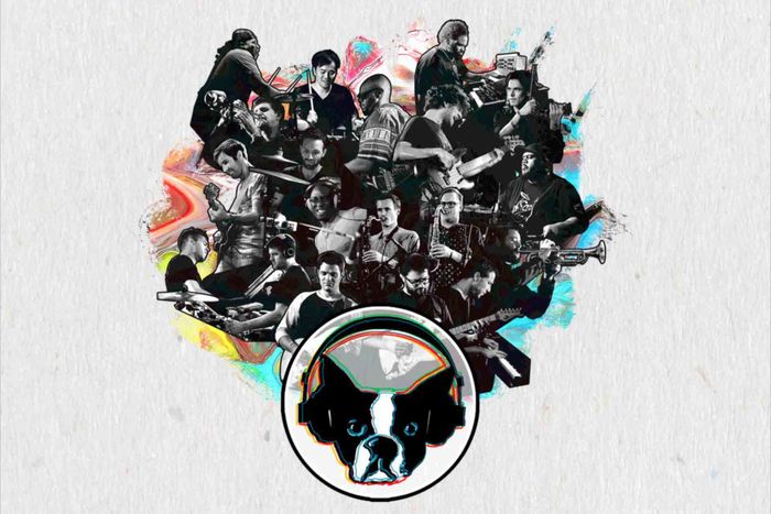 Snarky Puppy