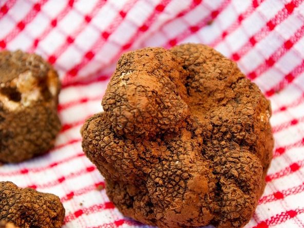 Les repas Truffes du lundi soir