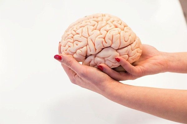 Cerveau quiz