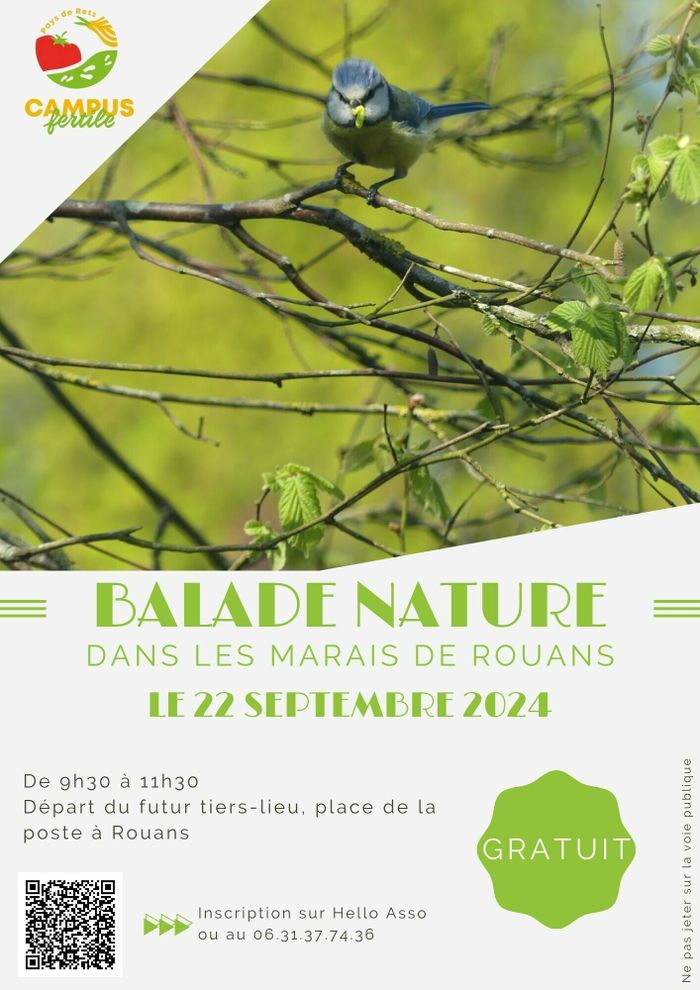 Balade nature dans les marais de Rouans
