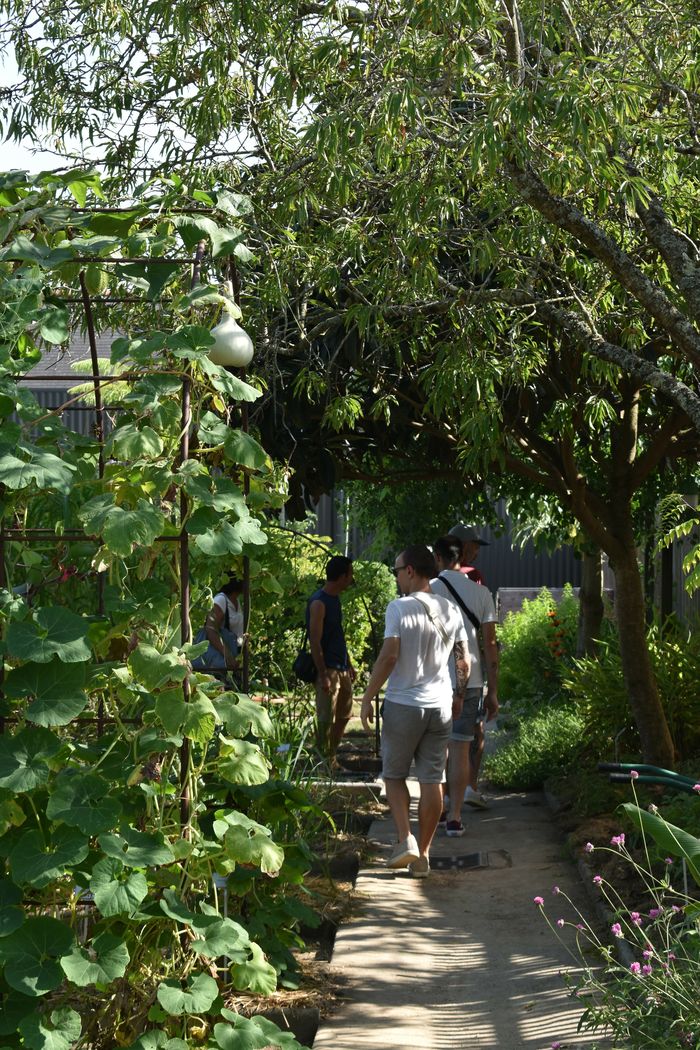 Une soirée au potager - Biodivers'été