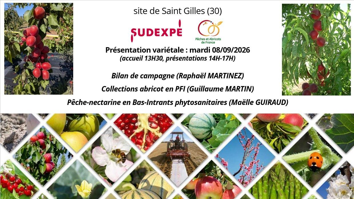 SudExpé Présentation des suivis variétaux pêche-nectarine 2026