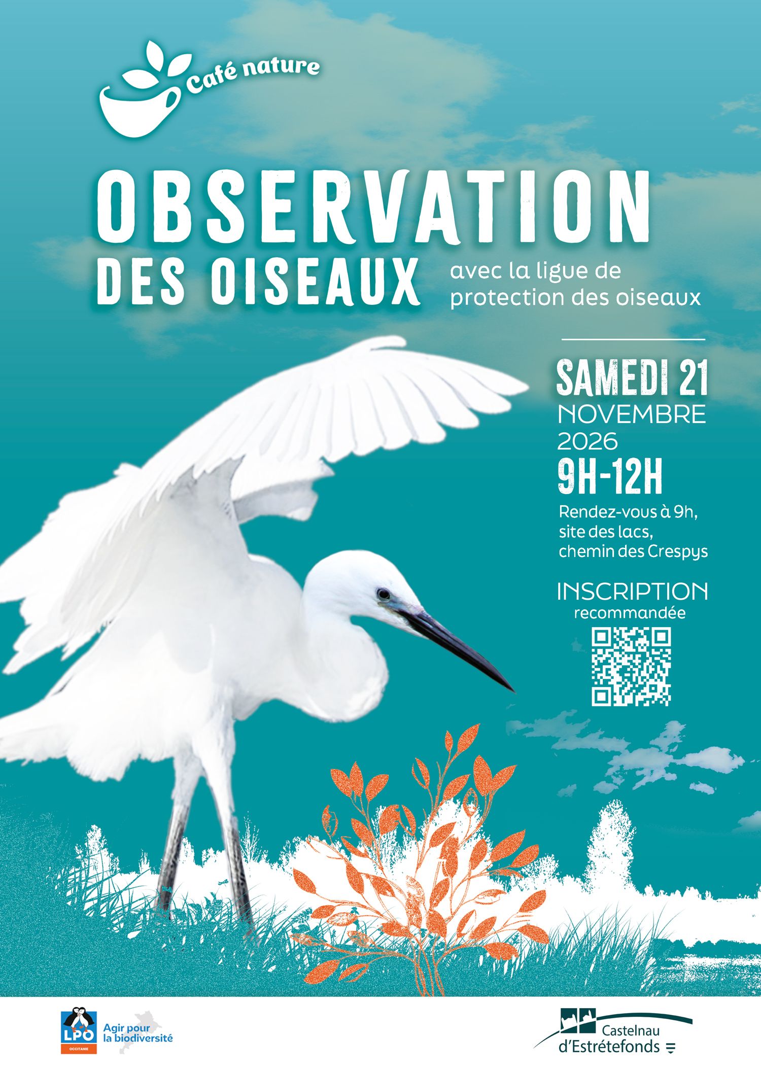 Bird watching with the Bird Protection League