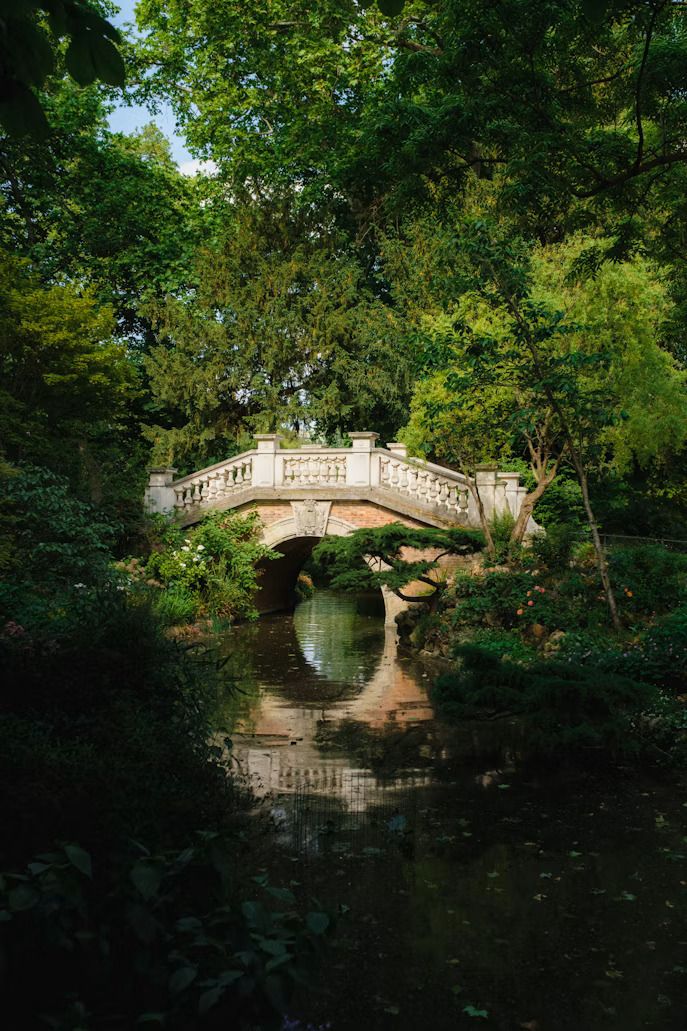 Sortie Nature au Parc Monceau — La Botanique pour Ralentir et mieux Rencontrer la Nature qui nous entoure